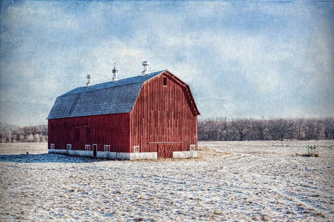 Morning on the Farm White Modern Wood Framed Art Print with Double Matting by Parker, Kelley