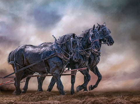 Bold and Powerful White Modern Wood Framed Art Print with Double Matting by Parker, Kelley