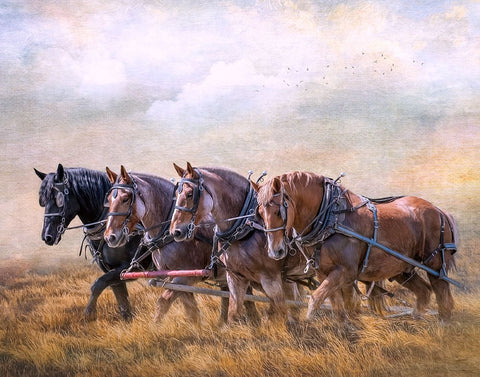 Four Horse Power Black Ornate Wood Framed Art Print with Double Matting by Parker, Kelley