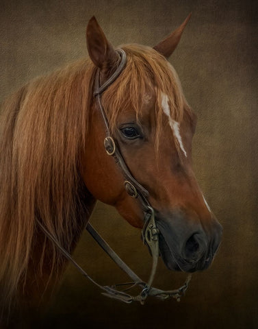 Ready to Compete White Modern Wood Framed Art Print with Double Matting by Parker, Kelley