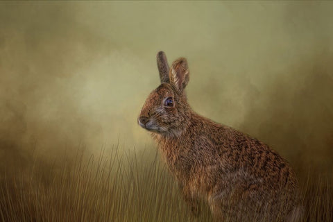 Awakening White Modern Wood Framed Art Print with Double Matting by Parker, Kelley