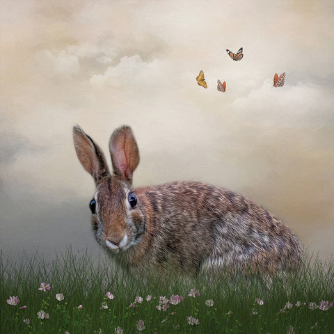 Spring Softie Black Modern Wood Framed Art Print by Parker, Kelley