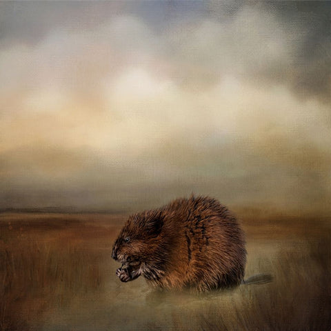 Breakfast at the Marsh Black Modern Wood Framed Art Print by Parker, Kelley