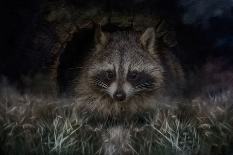 Mischievous Black Ornate Wood Framed Art Print with Double Matting by Parker, Kelley