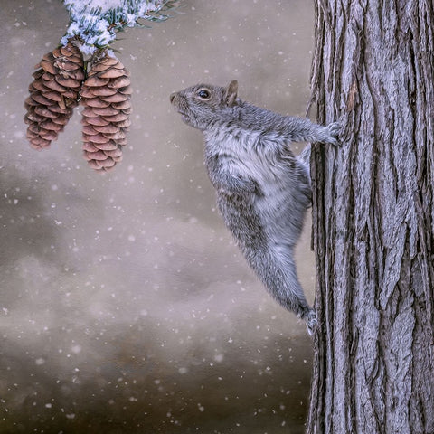 Eye on the Prize Black Ornate Wood Framed Art Print with Double Matting by Parker, Kelley