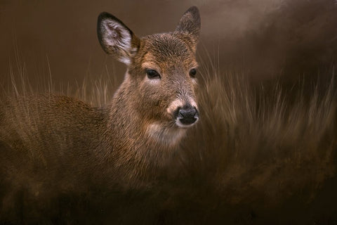 Encounter White Modern Wood Framed Art Print with Double Matting by Parker, Kelley