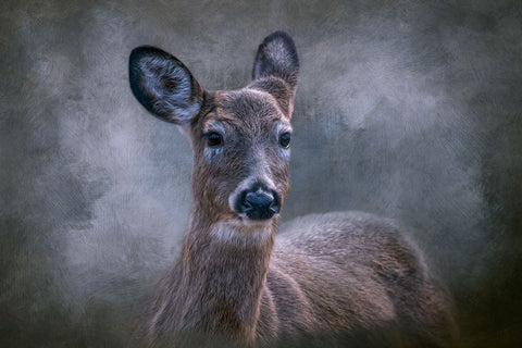 Wild Beauty Black Ornate Wood Framed Art Print with Double Matting by Parker, Kelley