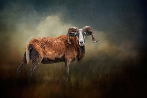 Focused on You Black Modern Wood Framed Art Print by Parker, Kelley