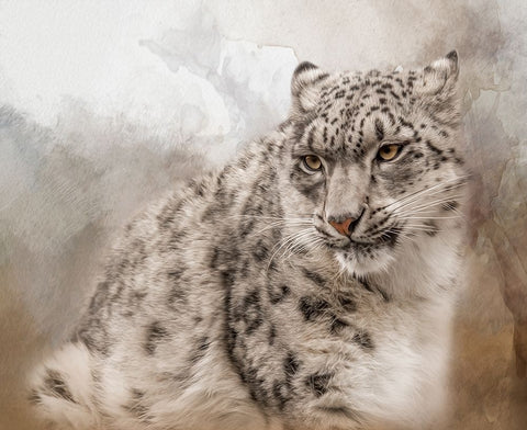 Always Searching Black Modern Wood Framed Art Print by Parker, Kelley