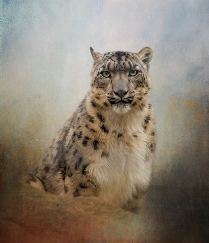 Try Me Black Modern Wood Framed Art Print by Parker, Kelley