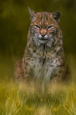 Standing Watch White Modern Wood Framed Art Print with Double Matting by Parker, Kelley