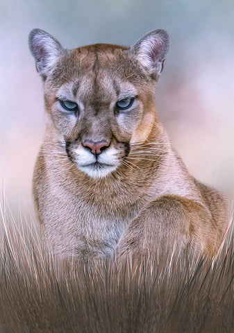 The Hypnotist Black Modern Wood Framed Art Print by Parker, Kelley