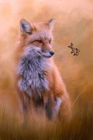 Watching Butterflies Black Ornate Wood Framed Art Print with Double Matting by Parker, Kelley