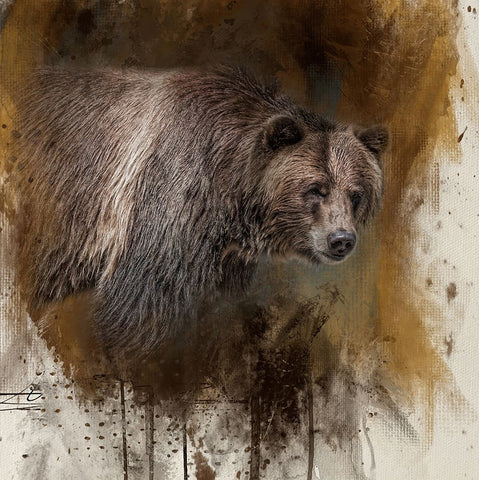 Spirit of the Wilderness White Modern Wood Framed Art Print with Double Matting by Parker, Kelley