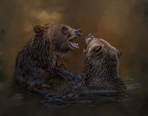 Grizzlies at Play Black Modern Wood Framed Art Print by Parker, Kelley