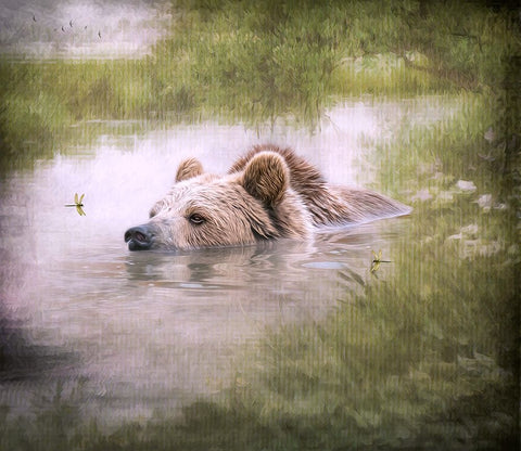 Bearly Swimming Black Modern Wood Framed Art Print by Parker, Kelley