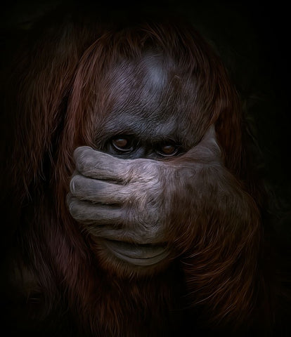 Peek-a-Boo Black Modern Wood Framed Art Print by Parker, Kelley