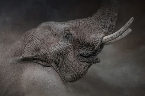 Rising Above Black Modern Wood Framed Art Print by Parker, Kelley