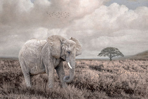 Time to Move On Black Ornate Wood Framed Art Print with Double Matting by Parker, Kelley