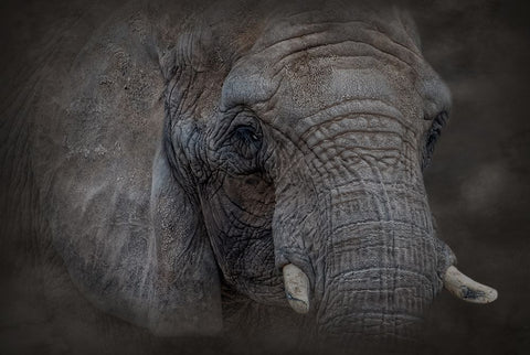 Textured White Modern Wood Framed Art Print with Double Matting by Parker, Kelley