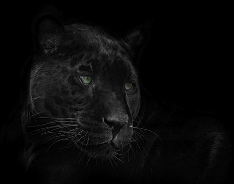 Green Eyed Beauty Black Ornate Wood Framed Art Print with Double Matting by Parker, Kelley