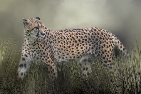 The Look Back Black Ornate Wood Framed Art Print with Double Matting by Parker, Kelley