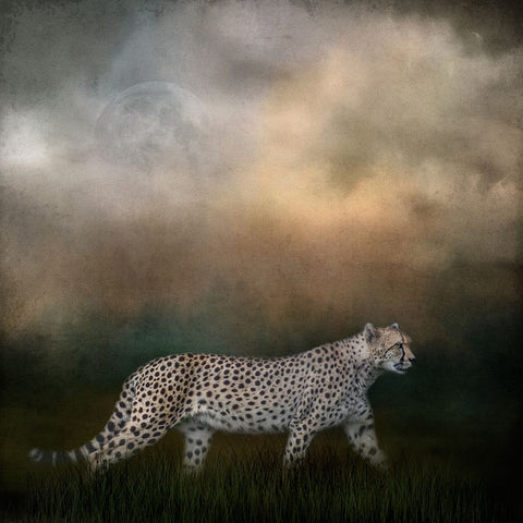 Night Search Black Ornate Wood Framed Art Print with Double Matting by Parker, Kelley