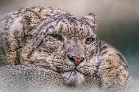 Time Out Black Modern Wood Framed Art Print by Parker, Kelley