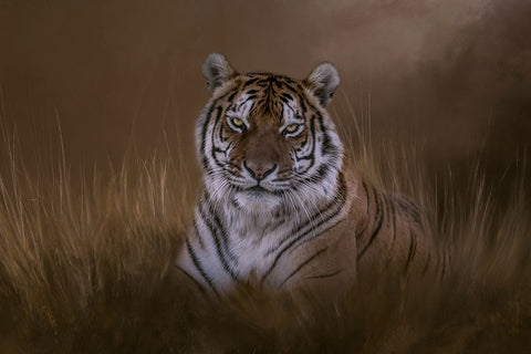 In the Depth of Your Eyes Black Modern Wood Framed Art Print by Parker, Kelley