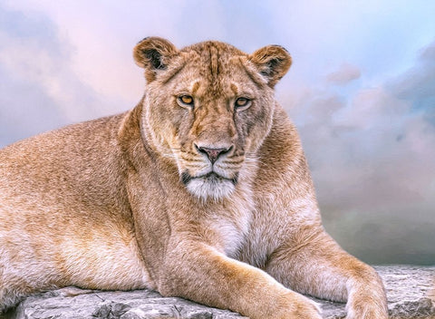 Soothing Rest Black Ornate Wood Framed Art Print with Double Matting by Parker, Kelley