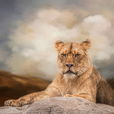 Young and Proud White Modern Wood Framed Art Print with Double Matting by Parker, Kelley