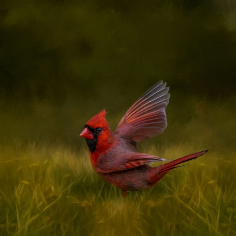 Angels Among Us White Modern Wood Framed Art Print with Double Matting by Parker, Kelley