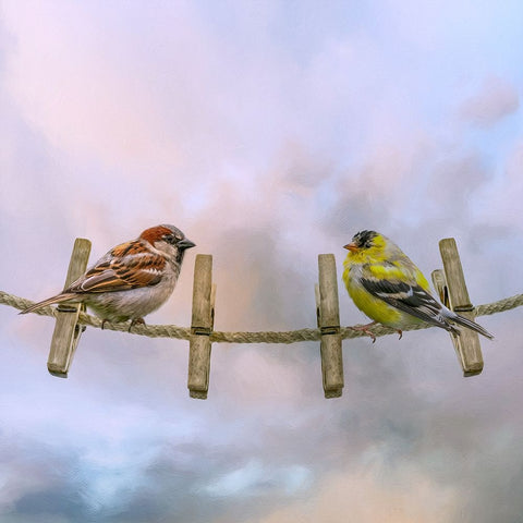 Wash Day White Modern Wood Framed Art Print with Double Matting by Parker, Kelley