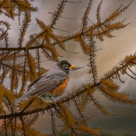 Early Bird Black Modern Wood Framed Art Print by Parker, Kelley