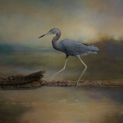 Walking the Balance Beam Black Ornate Wood Framed Art Print with Double Matting by Parker, Kelley