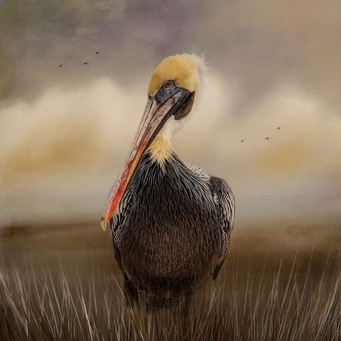 Strike a Pose Black Ornate Wood Framed Art Print with Double Matting by Parker, Kelley