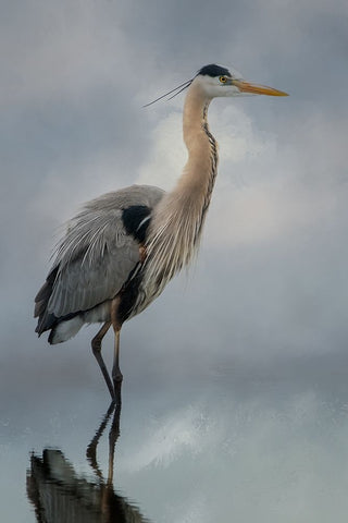 Personal Reflection Black Ornate Wood Framed Art Print with Double Matting by Parker, Kelley