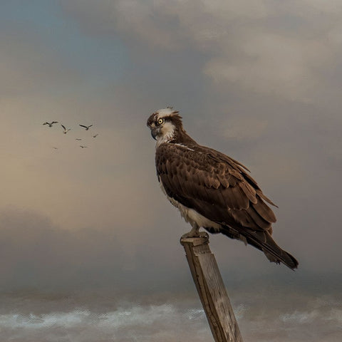 Against the Storm White Modern Wood Framed Art Print with Double Matting by Parker, Kelley