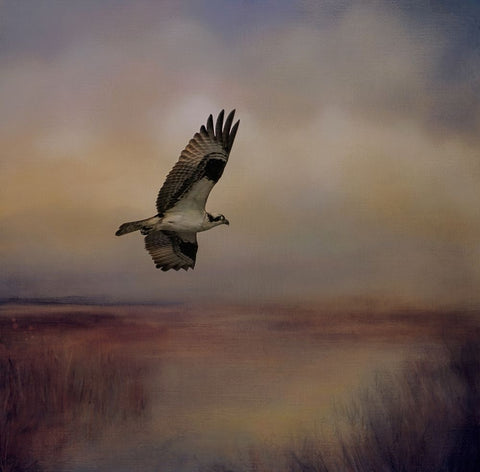 Going Fishing Black Ornate Wood Framed Art Print with Double Matting by Parker, Kelley