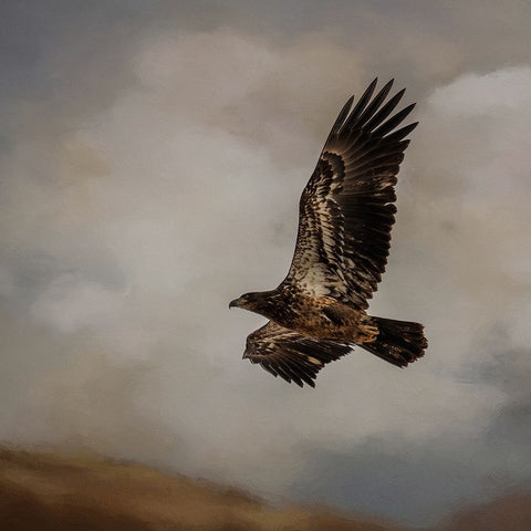 Morning Hunter White Modern Wood Framed Art Print with Double Matting by Parker, Kelley