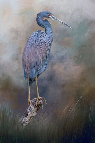 Tri-Colored Beauty White Modern Wood Framed Art Print with Double Matting by Parker, Kelley