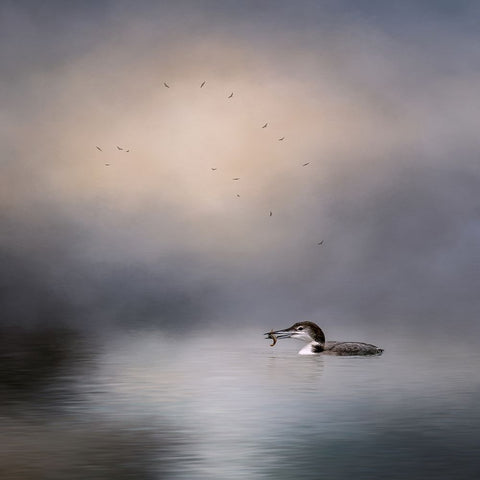 The Catch Black Modern Wood Framed Art Print by Parker, Kelley