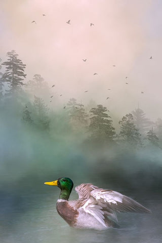 Beauty in the Midst White Modern Wood Framed Art Print with Double Matting by Parker, Kelley