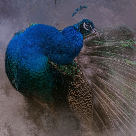 Natural Beauty White Modern Wood Framed Art Print with Double Matting by Parker, Kelley