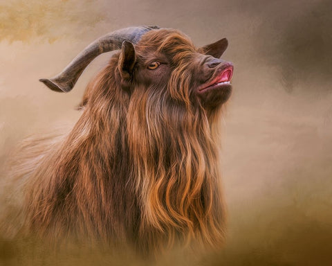 Look Whos Smiling Now White Modern Wood Framed Art Print with Double Matting by Parker, Kelley