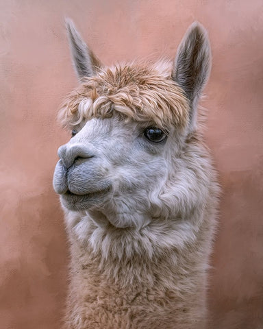 Sweetness White Modern Wood Framed Art Print with Double Matting by Parker, Kelley