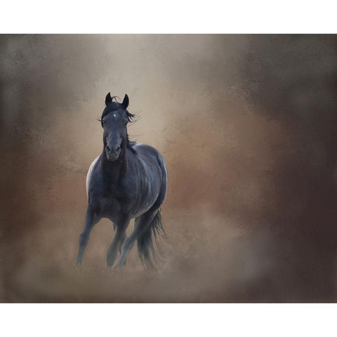 Knighthawk - S Steens Wild Stallion Black Modern Wood Framed Art Print by McFerrin, Larry