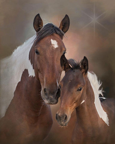 Smore and Chippewa - S Steens Mustangs Black Ornate Wood Framed Art Print with Double Matting by McFerrin, Larry