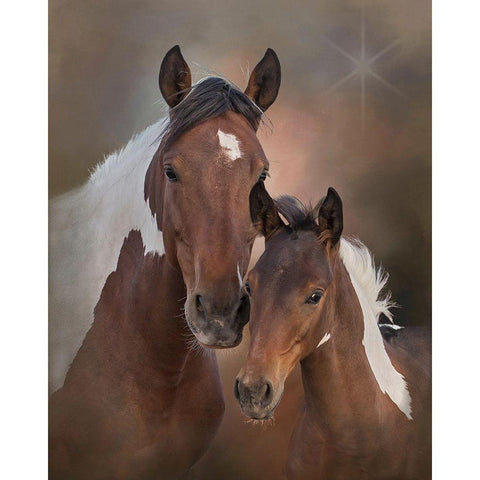 Smore and Chippewa - S Steens Mustangs Black Modern Wood Framed Art Print with Double Matting by McFerrin, Larry