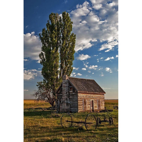 Memories White Modern Wood Framed Art Print by McFerrin, Larry
